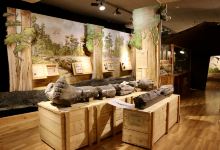 Jurassica Jardin Botanique景点图片