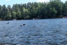 Woodbury Pond景点图片