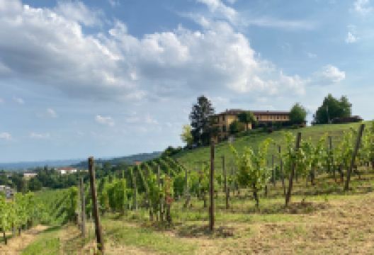 Cascina Brichetto景点图片