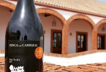 Bodega Dehesa del Carrizal景点图片