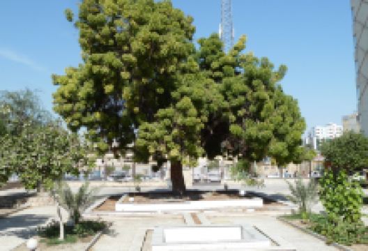 Hindu Temple景点图片
