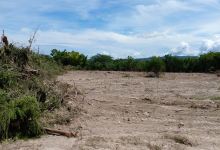 La finca de el rey景点图片