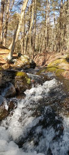 Mount Tom State Reservation-霍利奥克