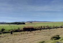 PCEA Ruanguene Church景点图片