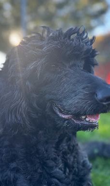 Forest Glen Park-森特勒尔波因特