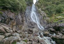 Coedydd Aber National Nature Reserve景点图片