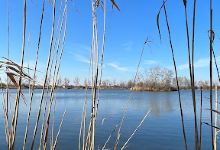 Šutrovňa景点图片