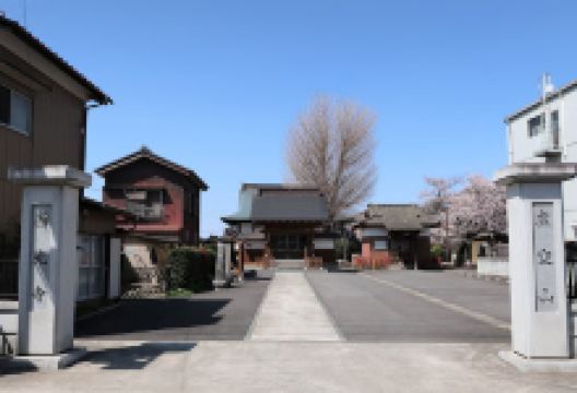 西光寺景点图片