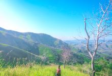 Alicia Cultural Center景点图片