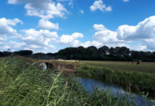 Camping De Flierweide景点图片