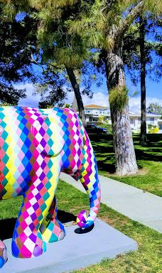 Pines Park-达纳点