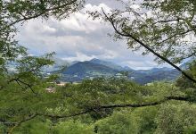 Parque De El Castaño景点图片