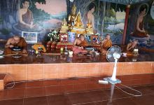 Wat Pa Phawana Wiwek景点图片
