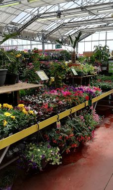 Gamm Vert-拉比谢尔