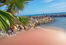 Spiaggia per cani景点图片
