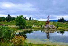 Baccata Ridge Winery景点图片