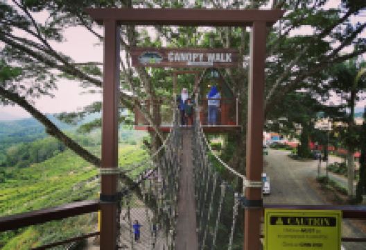 Masjid Kampung Saujana景点图片