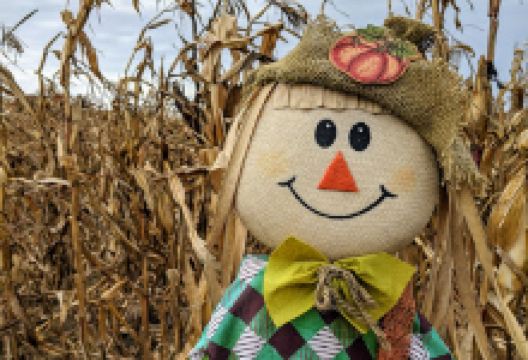 Sprague's Family Fun Farm景点图片