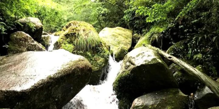 飛水寨南國天山大草原