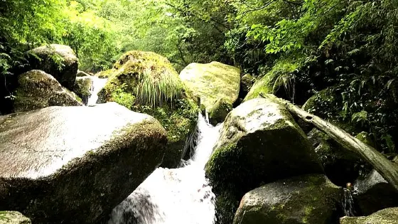 飛水寨南國天山大草原