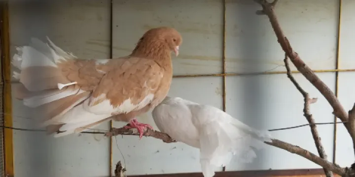 四季綠農業科普園