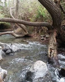 Majrase Nature Reserve-Emek HaYarden