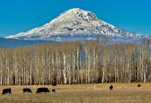 Guler-Trout Lake Park景点图片