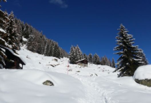 Klettersteig Aletsch景点图片