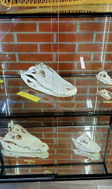 Krokodýli farma-皮塞克