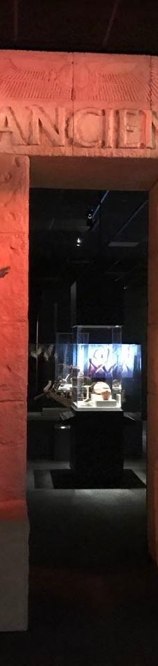 休斯顿博物馆区-休斯敦