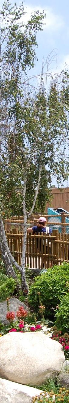 诺氏百乐坊乐园-普安那公园