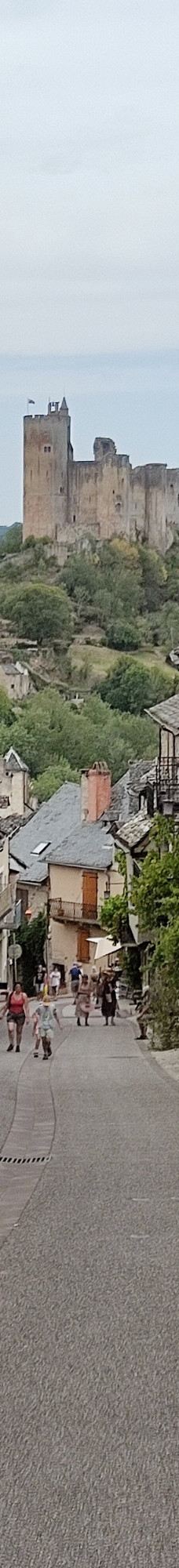 Najac Castle-纳雅克