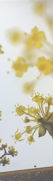 Parc de Champagne-兰斯