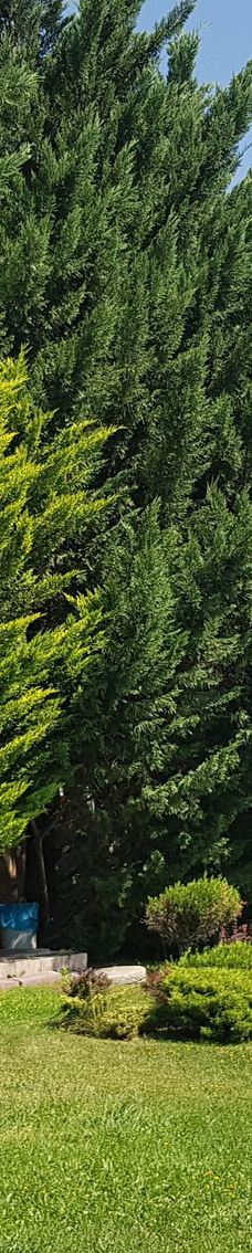 Deniz Dunyasi-安卡拉