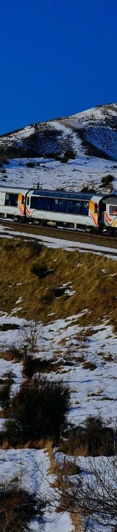 高山观景火车之旅-基督城