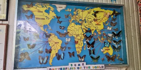 Jumalon Butterfly Sanctuary