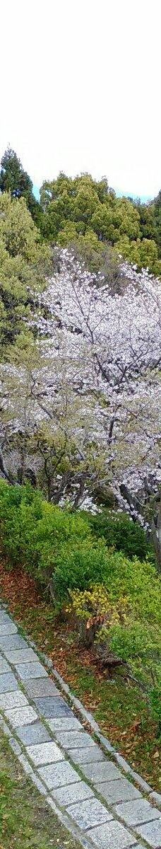 清水船越堤公園-静冈