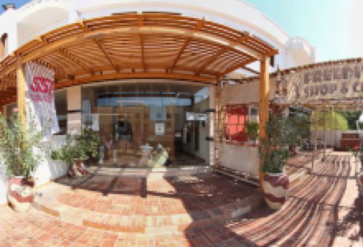 Freedive Dahab购物图片