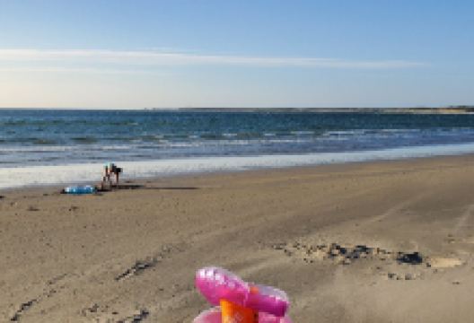 Shallow Bay Beach景点图片