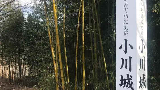 小川城址