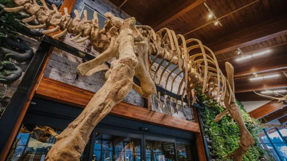 The Exploration Place Museum & Science Centre
