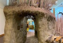 Dorothy Pecaut Nature Center景点图片