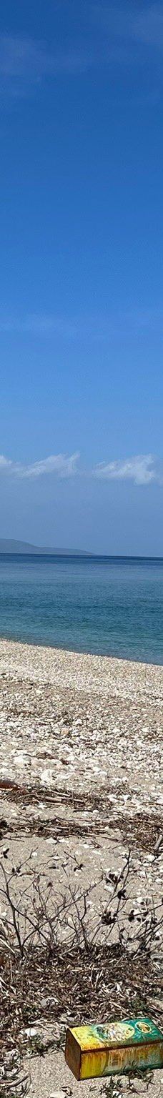 Poros Beach-Kiani Akti