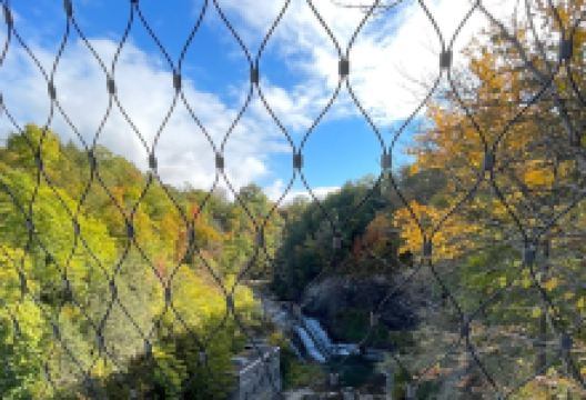 Suspension Bridge景点图片