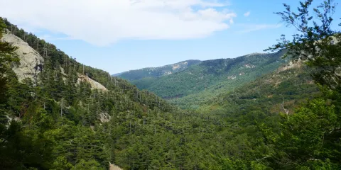 Cascades des Anglais