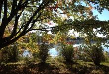 Beavermead Park景点图片