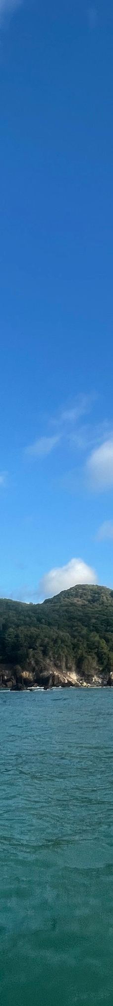 Jangalancha Show-纳塔尔