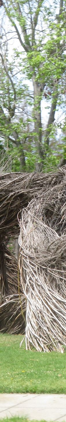 林科纳达公园-帕罗奥图