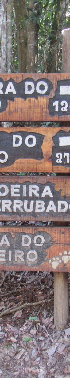 Parque Estadual Mata do Limoeiro-伊塔比拉