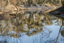 Long Forest Flora and Fauna Reserve景点图片
